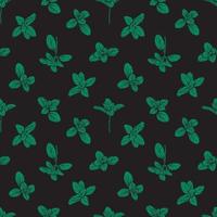 Basil Seamless Pattern.Marjoram pattern vector