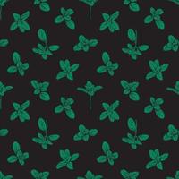 Basil Seamless Pattern.Marjoram pattern vector