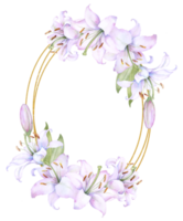 il giro oro telaio ghirlanda con bianca e rosa giglio fiori, acquerello illustrazione. isolato su bianca. ideale per decorazione nozze inviti, album, e manifesti png