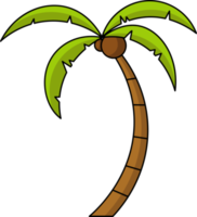 coconut tree design illustration isolated on transparent background png