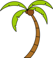 coconut tree design illustration isolated on transparent background png