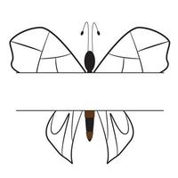 Beautiful butterfly with white background vector