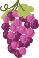 colorato frutta e verdura nel piatto mano disegnare stile png