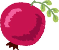 coloridas frutas y verduras en estilo de dibujo a mano plana png