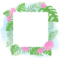 hand drawn summer tropical flower botanical flat style frame on watercolor png