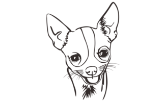 arte de linha de cabeça de cachorro chihuahua png