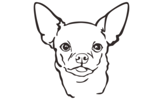 Chihuahua Dog Head Line Art png