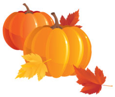two pumpkin with leaves png