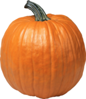 orange pumpkin isolated png