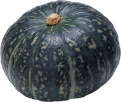 green pumpkin isolated png