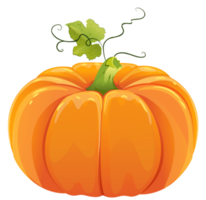 pumpkin with leaves png