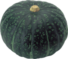 green pumpkin isolated png