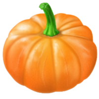 orange Kürbis isoliert png