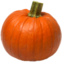 orange pumpa isolerat png