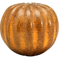 orange pumpkin isolated png