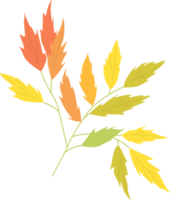 Autumn leaves on a branch. png