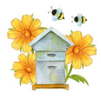 vieille maison en bois pour les abeilles, fleurs de calendula jaune, collection de miel, peinture à l'aquarelle en style dessin animé, isolée sur fond blanc png