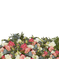 Fresh and colorful bouquet of flowers blooming beautiful first cut out transparent background png