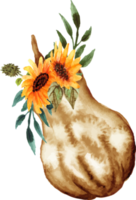 calabaza acuarela con girasol png