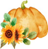 watercolor pumpkin with sunflower png