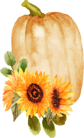 watercolor pumpkin with sunflower png