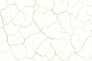Abstract cracked damage ground white background vector