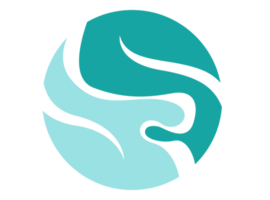 logotipo de icono de círculo de agua png