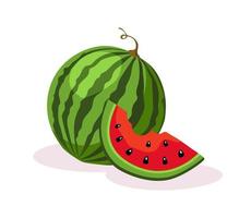 Ripe watermelon and piece of watermelon with seeds. vector