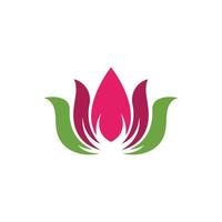 beauty lotus flower vector icon