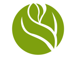 icône du logo éco feuille verte png