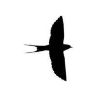 Flying Swallow Bird Silhouette for Logo, Pictogram, Website. Art Illustration or Graphic Design Element. Vector Illustration