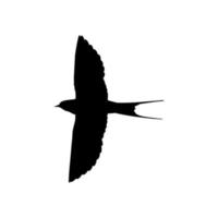 Flying Swallow Bird Silhouette for Logo, Pictogram, Website. Art Illustration or Graphic Design Element. Vector Illustration