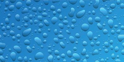 Water drops on blue background. Condensation of realistic pure rain droplets vector