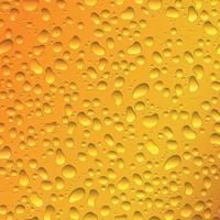 Water drops on gold background. Condensation of realistic pure rain droplets on beer vector