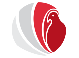 uccello cerchio logo icona png