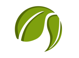 icône du logo éco feuille verte png