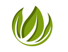 icono de logotipo de hoja verde ecológico png