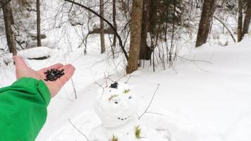 un homme nourrit les oiseaux dans la forêt en hiver. concept de la journée internationale des oiseaux video