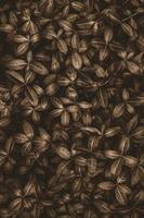 Brown plants background, texture of bronze tinted foliage, autumn nature background, dark and moody photo