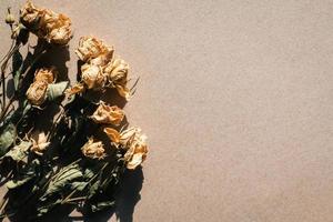 Dried flowers on beige cardboard paper texture, light and shadow retro background, copy space photo