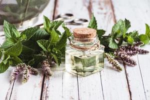 Natural mint oil in bottle, fresh mentha plants on old wooden table, essential mint oil, herbal medicine photo