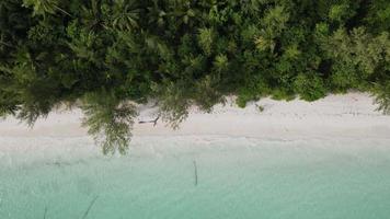 Aerial view of white sand turquoise beach with tropical jungle in Indonesia video