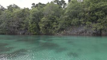 Turquoise beach ocean view in near island Indonesia video