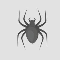 Black spider. Insect. Cartoon style illustration vector