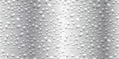 Water drops on white background. Condensation of realistic pure rain droplets vector