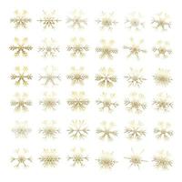 Vector set of different snowflakes