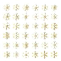 Vector set of different snowflakes