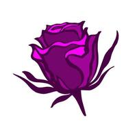 Vector sketch of rose isolated