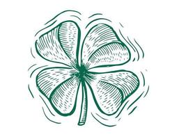 Clover, St. Patrick's Day. Hand drawn illustrations. Vector. vector