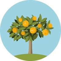 árbol de frutas naranjas en estilo plano.elemento de diseño para los sitios web de jardinería, tiendas de frutas y para un empaque de naranjas y jugo vector